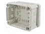 OBO BETTERMANN Caja de conexiones T 100 gris claro