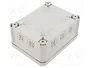 OBO BETTERMANN Caja de conexiones T 100 gris claro