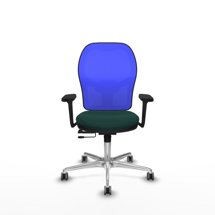PIQUERAS Y CRESPO Silla de oficina Jorquera con mecanismo Sincro/Traslack, Verde botella y Azul PIQUERAS Y CRESPO Silla de oficina Jorquera con mecanismo Sincro/Traslack, Verde botella y Azul