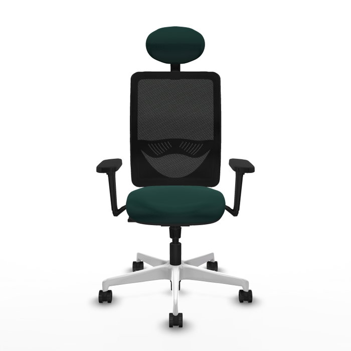 PIQUERAS Y CRESPO Silla de oficina Zulema con mecanismo Sincro, Verde botella y Negro PIQUERAS Y CRESPO Silla de oficina Zulema con mecanismo Sincro, Verde botella y Negro