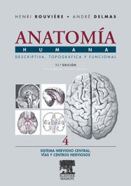 MASSON EDITORIAL Anatomia humana descriptiva topografica funcional