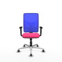 PIQUERAS Y CRESPO Silla de oficina Motilla con mecanismo Sincro, Rosa y Azul