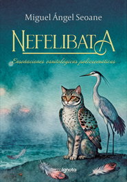 Nefelibata, Miguel Ángel Seoane - TERRA IGNOTA