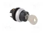 EATON ELECTRIC Interruptor rotativo con llave RMQ-Titan 22mm negro