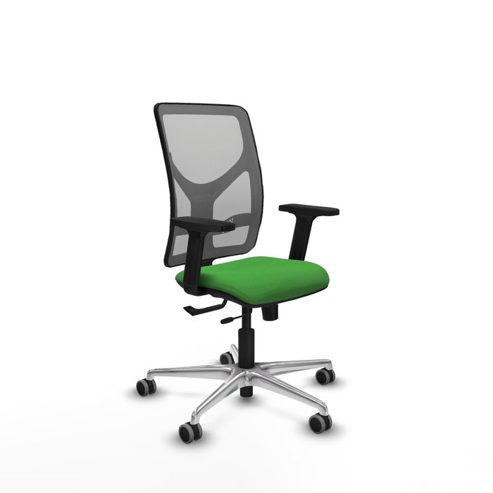 PIQUERAS Y CRESPO Silla de oficina Motilla con mecanismo Sincro/Traslack Verde y Gris PIQUERAS Y CRESPO Silla de oficina Motilla con mecanismo Sincro/Traslack Verde y Gris