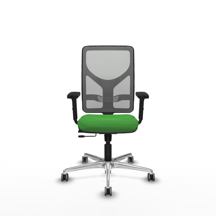 PIQUERAS Y CRESPO Silla de oficina Motilla con mecanismo Sincro/Traslack Verde y Gris PIQUERAS Y CRESPO Silla de oficina Motilla con mecanismo Sincro/Traslack Verde y Gris