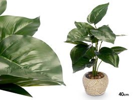 IBERGARDEN Maceta Planta Hoja Punta 21x40x21 cm (Set de 8)