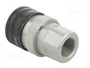 CEJN Conector rápido 250bar NBR Rosca G 1/2 DN12,5