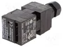 SCHMERSAL AZ 17 Interruptor de seguridad a llave NC + NA