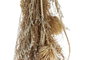 DKD Home Decor Ramo Navidad Alpina Flor seca Marron 6 x 65 x 13 cm (12 Unidades)