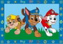 Ravensburger Juego CreArt Junior Paw Patrol - Kit de Pintura con 2 Tablas y 1 Pincel Ergonómico, Edad 5+