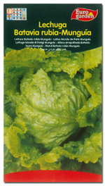 Semillas Fito Hortícolas Lechuga Batavia Rubia Munguia