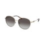 Gafas de Sol Mujer Michael Kors ALPINE MK 1119