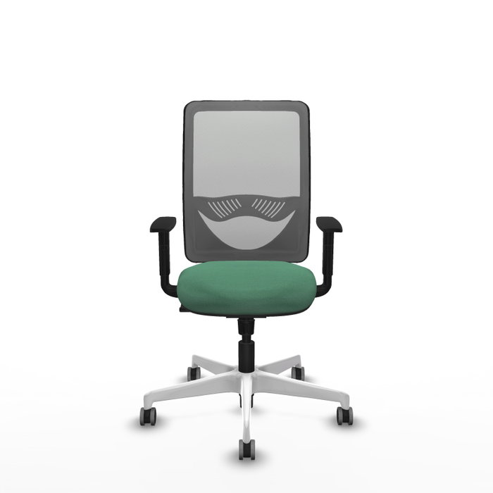 PIQUERAS Y CRESPO Silla de oficina Zulema con mecanismo Sincro, Verde esmeralda y Gris PIQUERAS Y CRESPO Silla de oficina Zulema con mecanismo Sincro, Verde esmeralda y Gris