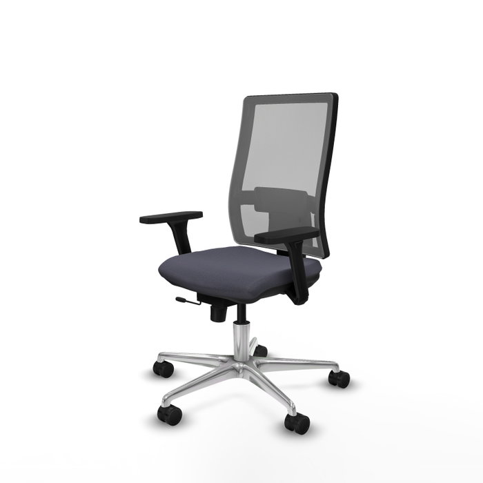 PIQUERAS Y CRESPO Silla de oficina Horna con Mecanismo Sincro/Traslack, Gris PIQUERAS Y CRESPO Silla de oficina Horna con Mecanismo Sincro/Traslack, Gris