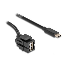 DeLOCK Módulo Keystone USB 2.0 A hembra a USB Type-C™ macho con cable 1,5 m