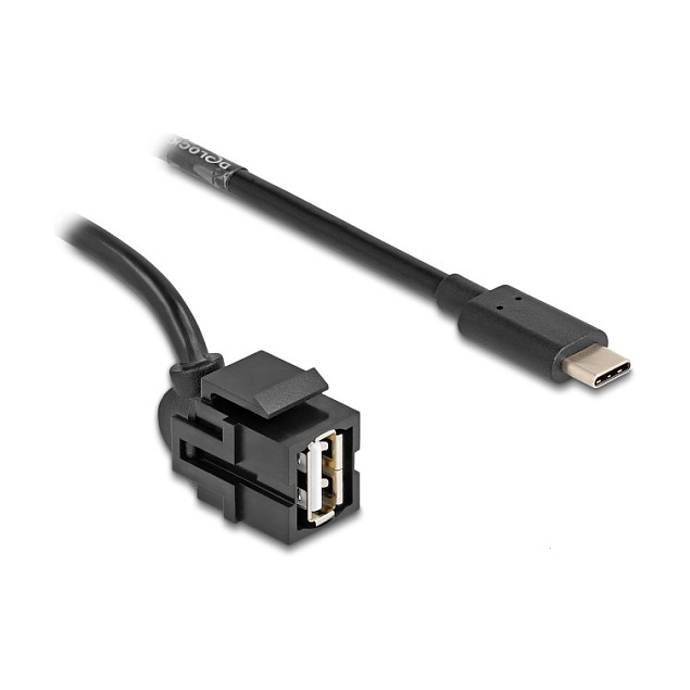 DeLOCK Módulo Keystone USB 2.0 A hembra a USB Type-C™ macho con cable 1,5 m DeLOCK Módulo Keystone USB 2.0 A hembra a USB Type-C™ macho con cable 1,5 m