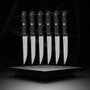 Nirosta Juego de 6 cuchillos para carne - 21 cm