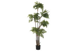 DKD Home Decor Planta PE Verde 60x60x177 cm