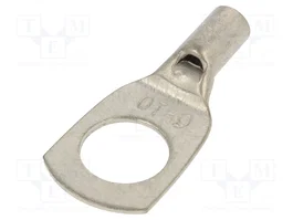 BM GROUP Punta de anillo tubular M10 6mm2