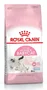 Royal Canin Mother & Babycat Alimento Seco Aves 4 kg