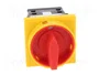 SPAMEL Interruptor de leva 32A 0-1 IP65