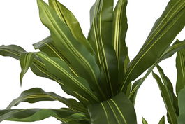 DKD Home Decor Planta Verde 70 x 160 x 70 cm (2 Unidades)