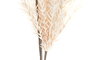 DKD Home Decor Ramas de EVA y PE 23x23x103 cm Surtido de 2