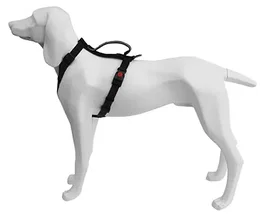 Freedog Arnés Extreme Negro 20mm 51/74cm