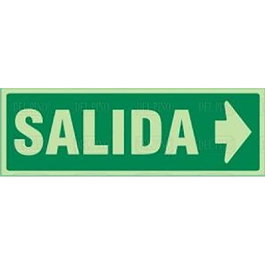 DUVER Señal 1017 Plast.297X105 Salida Derecha (Letra) Lum