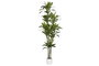 DKD Home Decor Árbol Dracaena Fragrans Verde 68x80x205 cm