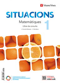 VICENS VIVES, MATEMATIQUES 1 LLIBRE CONSULTA (SITUACIONS)
