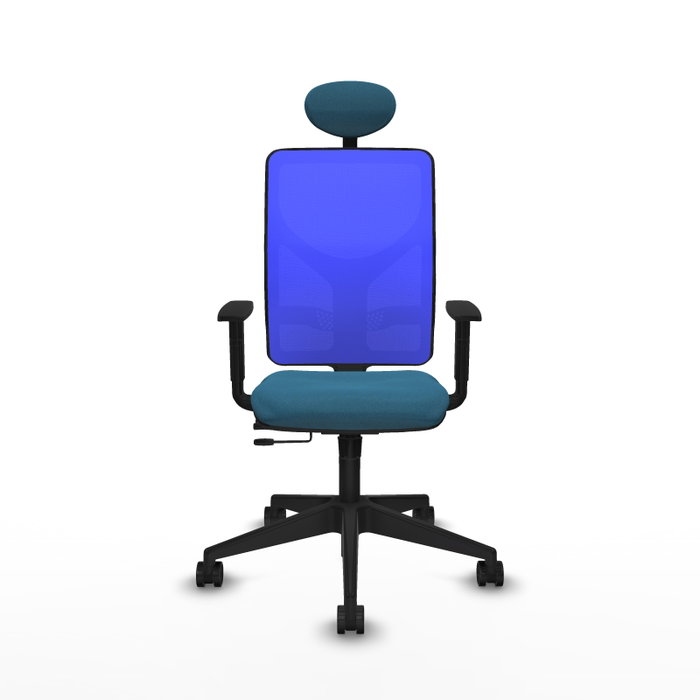 PIQUERAS Y CRESPO Silla de oficina Motilla con mecanismo Sincro/Traslack, Verde petróleo y Azul