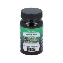 PLAMECA Capsudiet 40 Cap. Hinojo para Funciones Digestivas y Hepáticas