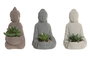 DKD Home Decor Figura Buda Cactus Surtido de 3 Piezas en Cemento y PVC