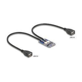 DeLOCK Adaptador Mini PCIe a 2 x USB 2.0 Tipo-A 30 cm 64346