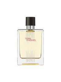 Terre d'Hermes Flacon H Limited Edition, Agua de Tocador, Para hombres, 100 ml