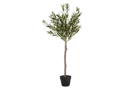 DKD Home Decor Árbol de Olivo Verde 50x50x120 cm
