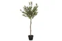 DKD Home Decor Árbol de Olivo Verde 50x50x120 cm