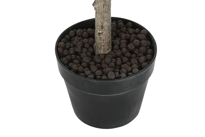 DKD Home Decor Árbol de Olivo Verde 50x50x120 cm