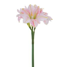 Flor Amarilis Rosa Artificial 23 X 20 X 73 cm (Set de 12)