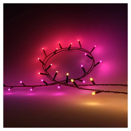 Philips Hue Festavia Guirnalda de Luces con 250 LEDs y 20 m de Cable, Negro