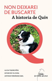 Non deixarei de buscarte. A historia de Quin, Varios - GALAXIA