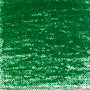Van Gogh Pastel al óleo Verde Pino 654.5
