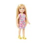 Mattel Barbie Chelsea y sus amigas con accesorio temático - Modelos surtidos