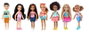 Mattel Barbie Chelsea y sus amigas con accesorio temático - Modelos surtidos