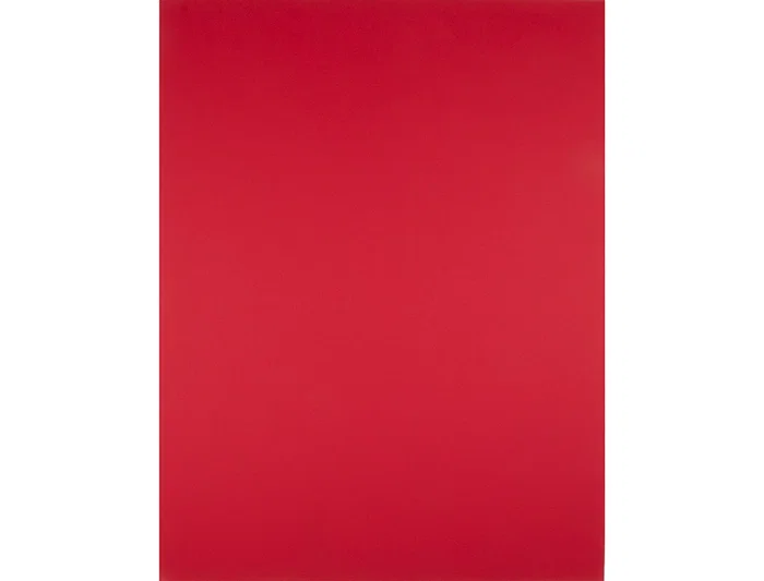 Liderpapel Cartulina 50x65 cm 240g/m2 Rojo Navidad para Dibujo y Manualidades