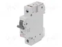 ETI POLAM Interruptor magnetotérmico ETIMAT 6 1P 63A 6kA