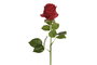 DKD Home Decor Flor Rojo 9 x 67 x 9 cm (12 Unidades) Tacto Real Seda y Pe