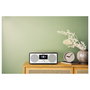 Panasonic RF-D40EG-K Radio por Internet con DAB+ y Bluetooth 5.3, Negro/Plata